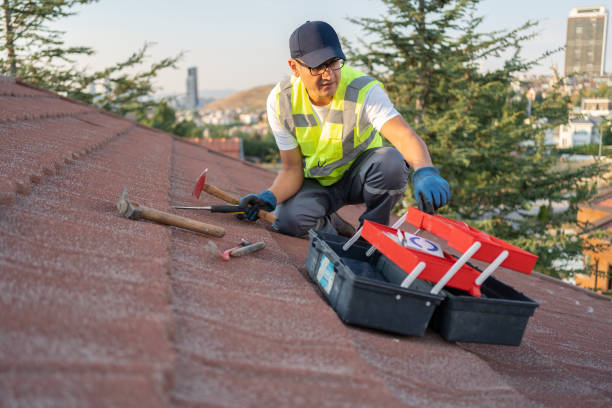 Professional Siding in Dumas, TX